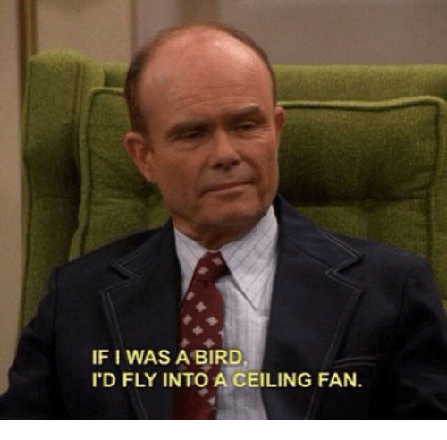 if-i-was-a-bird-id-fly-into-a-ceiling-22411282
